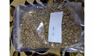 Robusta Grade AA