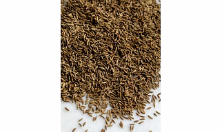 All spices Available: organic red chilli powder organic turmeric powder and finger cumin seed and others !