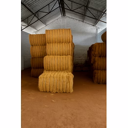 coir fibre bales (120kg)