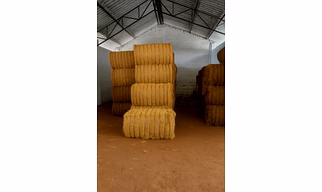 Coir Fibre Bales (120kg)
