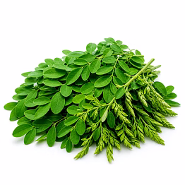 mauli global exports moringa (fresh)