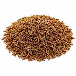 mauli global exports cumin (whole)