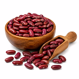 mauli global exports kidney bean