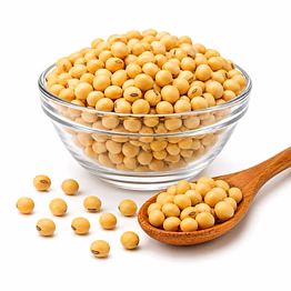 mauli global exports soybean grain