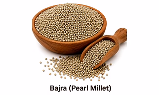 Bajra (Pearl Millet)