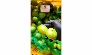 GREEN MANGO