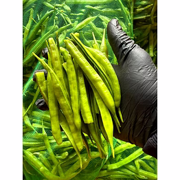 surabhi gawar (cluster beans)