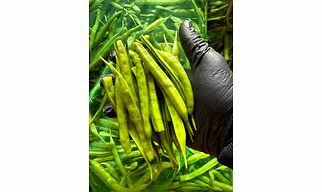 GAWAR (CLUSTER BEANS)