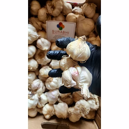 surabhi garlic