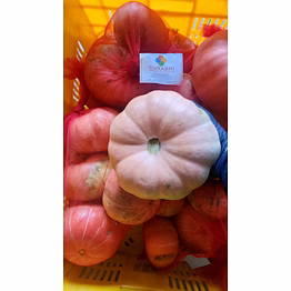 surabhi red pumkin
