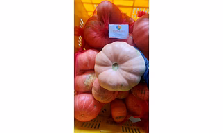 RED PUMKIN