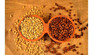 monsooned Malabar Robusta Coffee