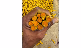 Amba Turmeric finger