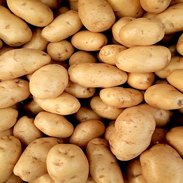 chandramukhi aloo