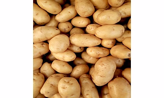 Chandramukhi Aloo