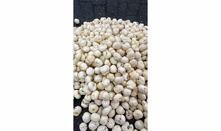 Raw Phool Makhana (Fox Nuts) - Premium Quality, Unroasted, High Protein, Low Calorie Superfood