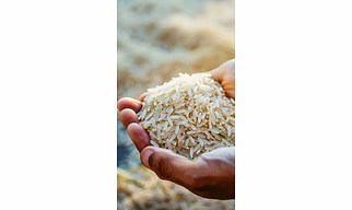 Basmati Rice