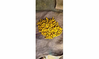 Spices