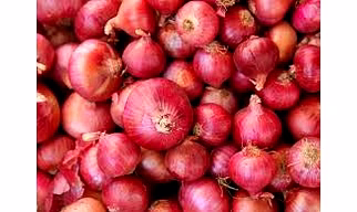 Red Onion