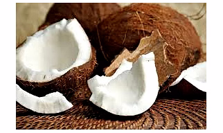 Coconut