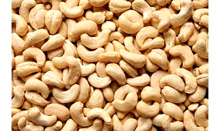 cashew Nuts