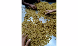 Raisins