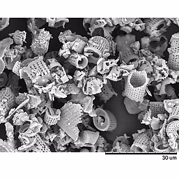 purelite filter aid powder