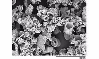 Purelite Filter aid powder