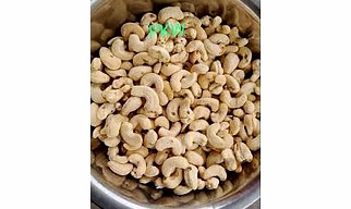 Cashew PKw1