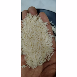 basmati rice 1121