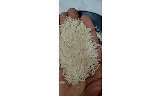Basmati Rice 1121