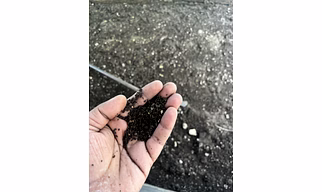 Vermicompost