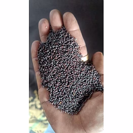 mustard seeds & oil