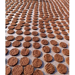 cow dung