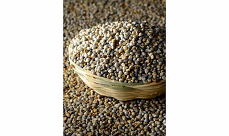 Premium Pearl Millet (Bajra) - High Protein Superfood