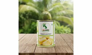 Canned Tender Jackfruit (850gm)