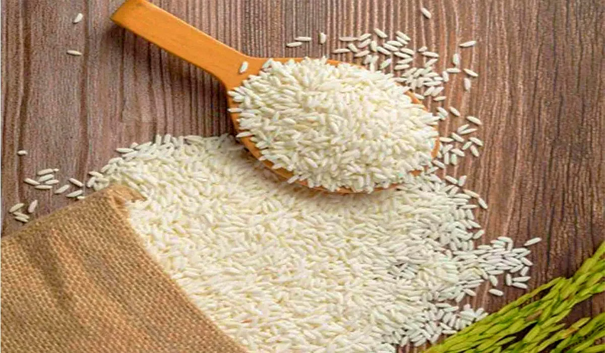 Organic Kali Khasa Rice (Scented Rice) image 1