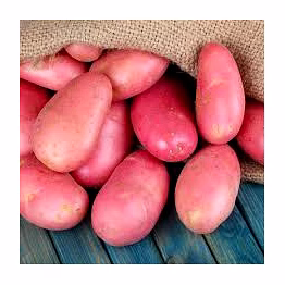 red potato