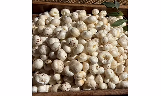 Best Quality Natural Salty Suta Makhana Fox Nuts Dried Snack Bulk Pack From Kolkata Size 3+ Food Grade 12 Months Shelf Life