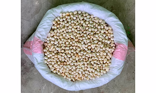 4 Suta Fox Natural Food Grade Superfood Snack Protein Fiber Rich Nuts Kernels Suta Makhana 12 Months Shelf Life Custom Packaging
