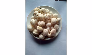 KVM Export Quality 5 Suta Makhana Fox Nuts Bold Grains Low Moisture Food Grade Custom Packaging Natural 12 Months Shelf Life