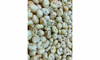 Nutritious Crunchy 6+ Suta Makhana Fox Nut-Natural Processing Food Grade Custom Packaging for Roasting Snacking & Cooking