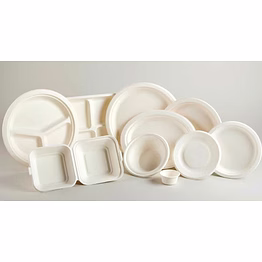 bagasse disposable products