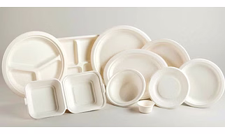Bagasse Disposable Products