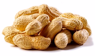 Raw Peanuts in Shell – Premium Export Quality