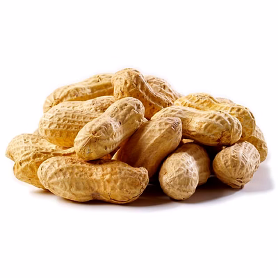 raw peanuts in shell – premium export quality
