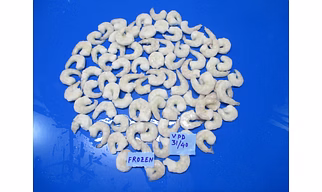 Fresh Frozen Prawns/shrimps