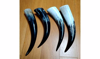 Viking Drinking Horn