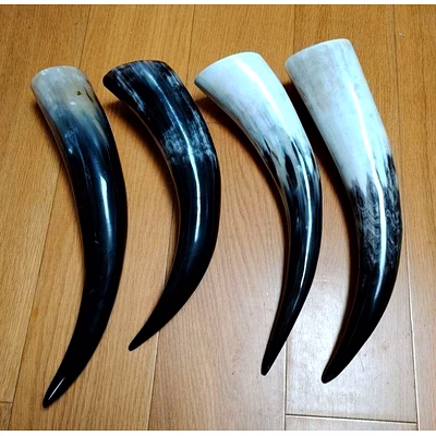 viking drinking horn