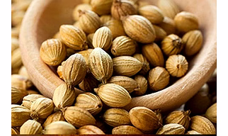 Coriander Seeds